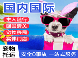 克拉玛依古海机场空运国际宠物托运 【国